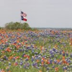 flags, texas flag, us flag-1188055.jpg
