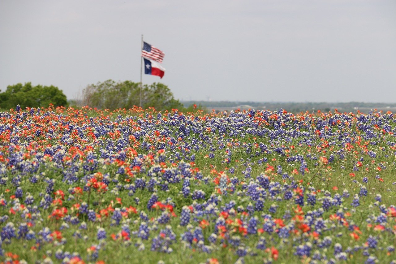 flags, texas flag, us flag-1188055.jpg